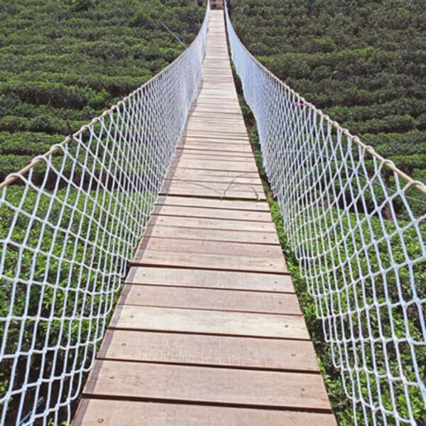 Jaring Jembatan Rekreasi